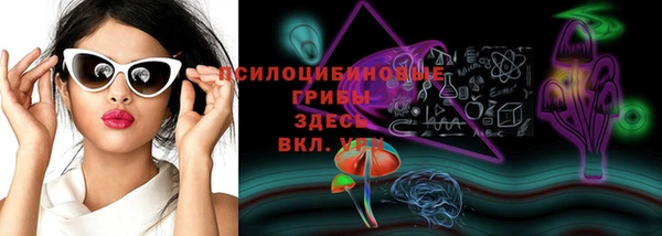 дурь Тобольск