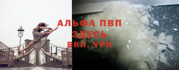 молекула духа Михайлов